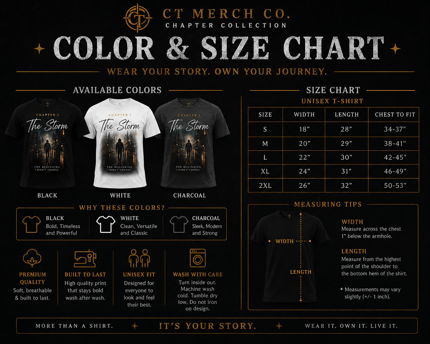 The Storm | Chapter I | Premium Graphic Tee – CT Merch Co